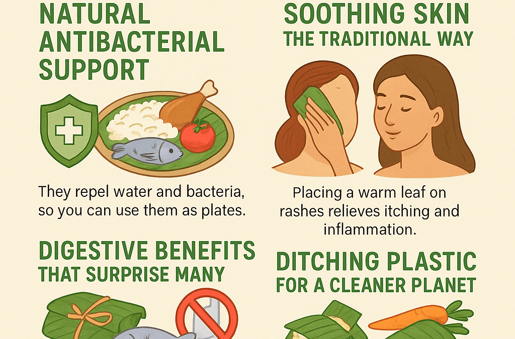 Banana Leaves: Surprising Uses and Health Benefits