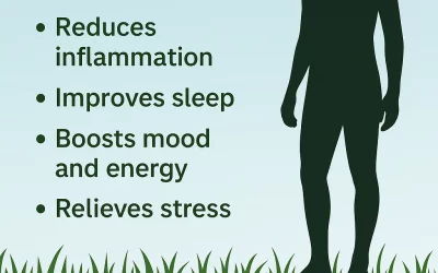 Benefits of Grounding on Grass: Improve Health Naturally