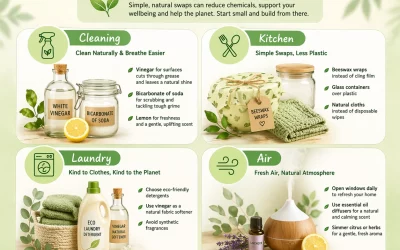 Natural Alternatives For Home Products: Simple Eco Swaps