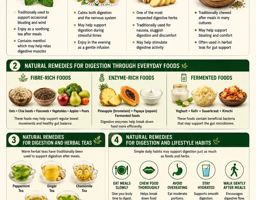 Natural Remedies for Digestion | Herbal Support for Gut Health