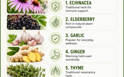 Herbs That Support Natural Immunity for Everyday Wellbeing