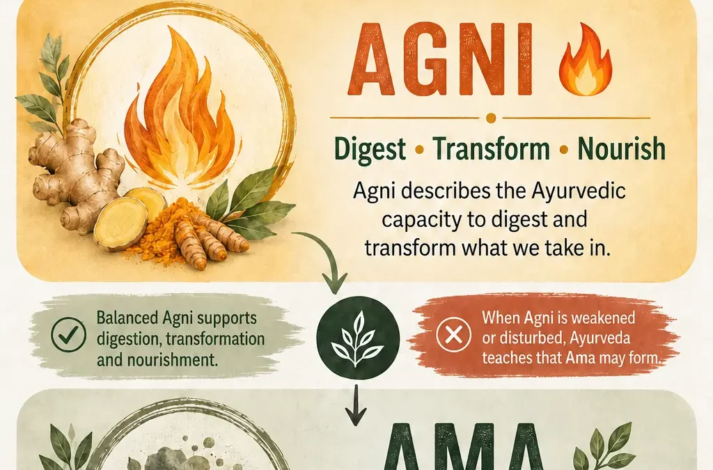 Agni and Ama in Ayurveda: Digestion & Balance