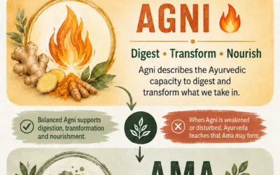 Agni and Ama in Ayurveda: Digestion & Balance