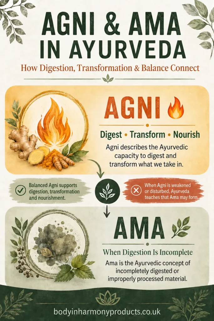 Learn about Agni and Ama in Ayurveda, how digestion and transformation are connected, and why balance matters for everyday wellbeing.